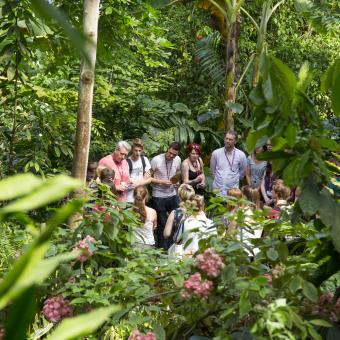 Groups of students in the Rainforest Biome